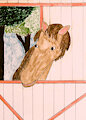 #HorseHeadTutorial by MrRoseLizard