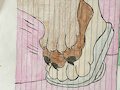 Footsie by Fur915