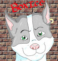 Boxice by Boxice