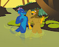 Exploring places together