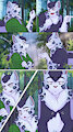 Hidden Falls Page Three by DualSwordsmanTenyo