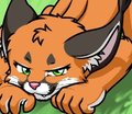 Every Day Cat Activities 2 by TwoTails