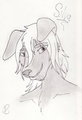 Silva (Headshot)