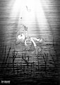 Don't Chase the Dead by minum