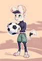 Ball Haver by Animancer