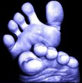 My toes