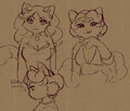 ladies by Viotailed