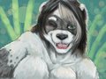 A gift of Panda by NB