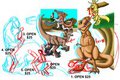 Dinosaur Adult Orgy by Yiffox