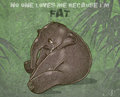 Sad baby Elephant by Nikonah