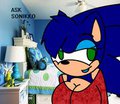 Ask Sonikko by Wolfmonster