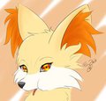 .:Fennekin:. by metalrenamon