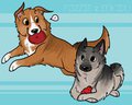 dog life by Layt0n