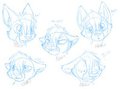 Many Faces of Lio - by FelisRandomis by LioMynx