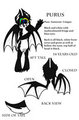 Purus! The BatBoy! Ref Sheet by DDDAfterDark