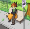 Foxeh by Pocketmew