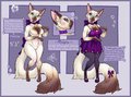 Malva the Siamese  by MistyHusky84