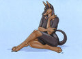 Shy Dobie by korrok