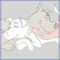 RQ: SxK by MiniFeru