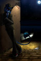 The Street Cat by Tinintri