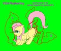 YCH Fluttershy by Yiffox