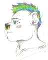 Randy Oso by RandyOso