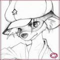Red Raccoon by Harumi