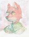 generic orange canine furry by Saucy
