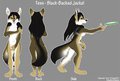 Code Drop: Tess's Reference Sheet by Nyaasu by tempo
