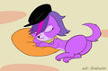 Sleeping Pets Zoe