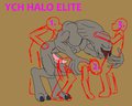 YCH Halo Elite by Yiffox