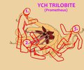 YCH Trilobite (Xenomorph) by Yiffox