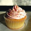 Princess Cupcake by LuckyDucky