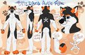 Ref Sheet by blizzyfox