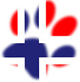 paw flag norway by yuu