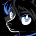 Ninja Husky by Tei