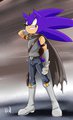 Sonic Fighter Outfit