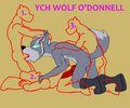 YCH Wolf O'Donnell by Yiffox