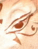 EquineHead