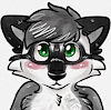 DaltonRaccoon