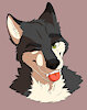 ThatDerpyHusky