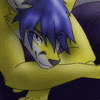 ThunderFOX