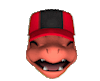 CharlesCharmeleon
