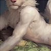 hokegom