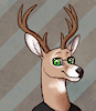 BashfulBuckboy