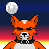 GreymuzzledFoxpup