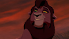 lion6