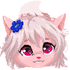 StrawberryFoxxies