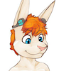 LoopBunny