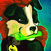 GusJustGus1